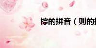 棕的拼音(則的拼音)