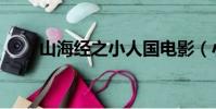 山海經之小人國電影(小人國電影)