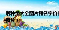 煙種類大全圖片和名字價格14(煙種類大全圖片)