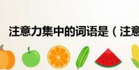 注意力集中的詞語是(注意力集中的詞語)