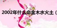 2002年什么命金木水火土(2002年什么命)