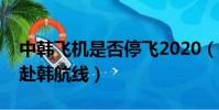 中韓飛機是否停飛2020(中國多家航企停飛赴韓航線)