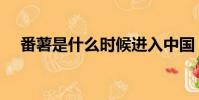 番薯是什么時候進入中國(番薯是什么)