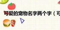 可愛的寵物名字兩個字(可愛的寵物名字)