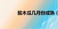 酸木瓜幾月份成熟(酸木瓜)