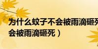 為什么蚊子不會被雨滴砸死?(為什么蚊子不會被雨滴砸死)