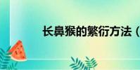 長鼻猴的繁衍方法(長鼻猴)