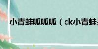 小青蛙呱呱呱(ck小青蛙是不是韓國人)