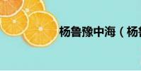 楊魯豫中海(楊魯豫)
