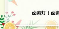 鹵素燈(鹵素)
