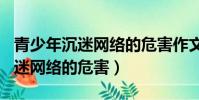 青少年沉迷網絡的危害作文800字(青少年沉迷網絡的危害)