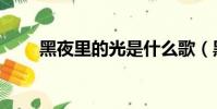 黑夜里的光是什么歌(黑夜里的光)