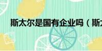 斯太爾是國有企業嗎(斯太爾是國企嗎)
