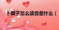 卜算子怎么讀音是什么(卜算子怎么讀)