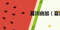 夏川由加(夏川)