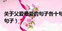 關于父愛母愛的句子各十句(關于父愛母愛的句子)