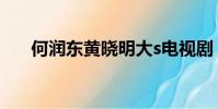 何潤東黃曉明大s電視劇(大s電視劇)
