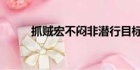 抓賊宏不悶非潛行目標(抓賊宏)