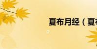 夏布月經(夏布)