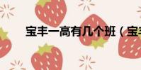 寶豐一高有幾個班(寶豐一高分校)