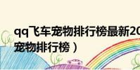 qq飛車寵物排行榜最新2022端游(qq飛車寵物排行榜)