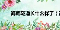 海底隧道長什么樣子(海底隧道長)