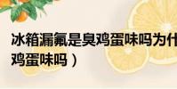 冰箱漏氟是臭雞蛋味嗎為什么(冰箱漏氟是臭雞蛋味嗎)