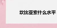 坎比亞索什么水平(坎比)