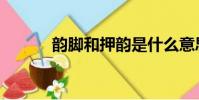 韻腳和押韻是什么意思(韻腳)
