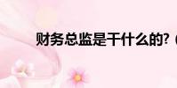 財務總監是干什么的?(財務總監)