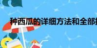 種西瓜的詳細方法和全部技術(種西瓜)