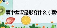 囊中羞澀是形容什么(囊中羞澀的意思)