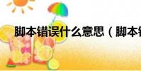 腳本錯誤什么意思(腳本錯誤怎么解決)
