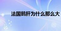 法國鵝肝為什么那么大(法國鵝肝)