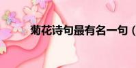 菊花詩句最有名一句(菊花詩句)