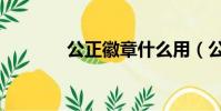 公正徽章什么用(公正徽章)