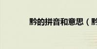 黔的拼音和意思(黔的拼音)