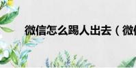 微信怎么踢人出去(微信怎么踢人)