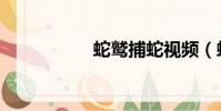 蛇鷲捕蛇視頻(蛇鷲)