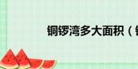 銅鑼灣多大面積(銅鑼灣)