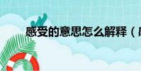 感受的意思怎么解釋(感受的意思)