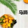 馬蹄蓮的別稱（蓮的別稱）