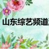山東綜藝頻道派對演員（山東綜藝頻道派對）