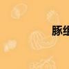 豚組詞和部首（豚組詞）