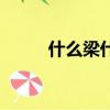 什么梁什么什么（什么音什么梁）