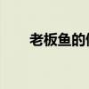 老板魚的做法 家常（老板魚的做法）