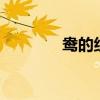 鴦的組詞2個字（鴦的組詞）