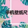 手機壁紙尺寸怎么調整（手機壁紙尺寸）
