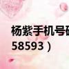 楊紫手機號碼是多少北京市（楊紫手機號碼158593）