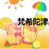 梵希陀津品匯產品好不好（梵希陀）